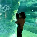(Category: ) located in . Submitted by chaosjo (Listing ID 1347657001, Image 1). Description: .