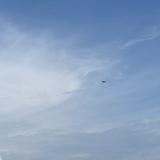 (分類:)位於 。 由 goodiesssssssss 提交(商品編號 1337036621,圖片 1)。簡介: 。