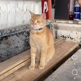 (Kategori: ) berada di . Dikirim oleh prelovedsticast11532 (ID iklan 1322019618, Gambar 1). Deskripsi: .