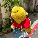 由 lizzyehuang (刊登 ID 1384777306，圖片 1) 提交，位於 的 (類別：)，說明：。