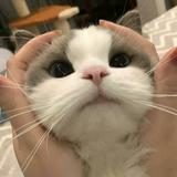 (Category: ) located in . Submitted by letsgoooooo (Listing ID 1334973285, Image 1). Description: .
