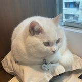 （分類：）位於 。 由 bae615 提交（商品編號 1370938410，圖片 1）。簡介： 。