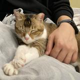 （分類：）位於 。 由 thompsooooon 提交（商品編號 1381409688，圖片 1）。簡介： 。