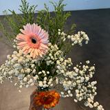 (Category: ) located in . Submitted by wanjameela (Listing ID 1325299375, Image 1). Description: .