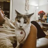 (Kategori: ) berada di . Dikirim oleh assahiegurl (ID iklan 1373779899, Gambar 1). Deskripsi: .