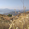 (Category: ) located in . Submitted by sms02529 (Listing ID 1366394748, Image 1). Description: .