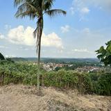 (Category: ) located in . Submitted by abd.azim (Listing ID 1451193597, Image 1). Description: .
