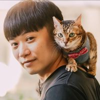由 end66666 (刊登 ID 1382238831，圖片 1) 提交，位於 的 (類別：)，說明：。