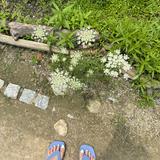 (Category: ) located in . Submitted by jamie_ww (Listing ID 1381196051, Image 1). Description: .