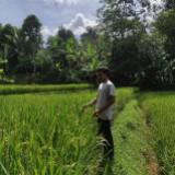 (Kategori: ) berada di . Dikirim oleh rihan.abdul24-82975 (ID iklan 1206492957, Gambar 1). Deskripsi: .