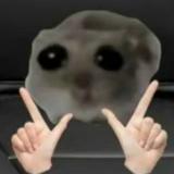 (Category: ) located in . Submitted by yeetgodboi126 (Listing ID 1366894615, Image 1). Description: .