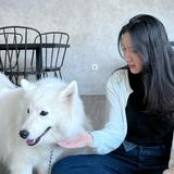 (Kategori: ) berada di . Dikirim oleh puppydust (ID iklan 1314977469, Gambar 1). Deskripsi: .