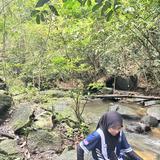 (Category: ) located in . Submitted by afqhroslan (Listing ID 1382211338, Image 1). Description: .