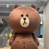 由 leadtobuy (刊登 ID 1379689554，圖片 1) 提交，位於 的 (類別：)，說明：。