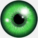 (Category: ) located in . Submitted by chekop (Listing ID 1381543591, Image 1). Description: .