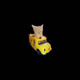 (Category: ) located in . Submitted by j.y88 (Listing ID 1459344312, Image 1). Description: .