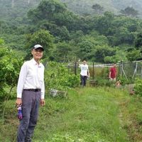 （分類：）位於 。 由 ngkingfaipeter 提交（商品編號 1303425685，圖片 1）。簡介： 。