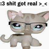 (Category: ) located in . Submitted by wandee.goodday (Listing ID 1231766706, Image 1). Description: .