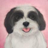 (Category: ) located in . Submitted by peppita (Listing ID 1317722176, Image 1). Description: .