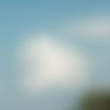 由 milliedebut (刊登 ID 1371999540，圖片 1) 提交，位於 的 (類別：)，說明：。