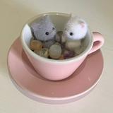 (Category: ) located in . Submitted by chocoe (Listing ID 1373637165, Image 1). Description: .