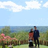(Kategori: ) berada di . Dikirim oleh ipunkmatsu45806 (ID iklan 1325563460, Gambar 1). Deskripsi: .