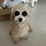 (Category: ) located in . Submitted by jiawen_vin (Listing ID 1314579556, Image 1). Description: .