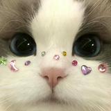 (Category: ) located in . Submitted by sabreenanzm (Listing ID 1342463610, Image 1). Description: .