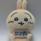 由 paddy7790715039 (刊登 ID 1456905952,圖片 1) 提交,位於 的 (類別:),說明:。