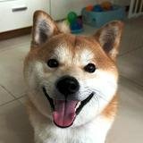 （分類：）位於 。 由 yatjill 提交（商品編號 1304391150，圖片 1）。簡介： 。