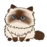 (Category: ) located in . Submitted by thelancelot (Listing ID 1377073368, Image 1). Description: .