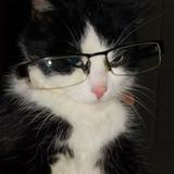 (Category: ) located in . Submitted by _decluttergirl._ (Listing ID 1322048576, Image 1). Description: .