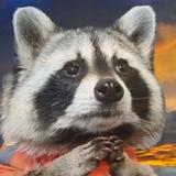 (Category: ) located in . Submitted by sneakypaca (Listing ID 1467459399, Image 1). Description: .