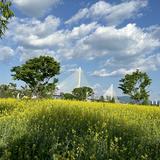 （分類：）位於 。 由 ncydse 提交（商品編號 1361664753，圖片 1）。簡介： 。