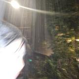 (Category: ) located in . Submitted by rgodm (Listing ID 1380125732, Image 1). Description: .
