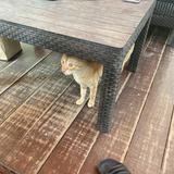 (Category: ) located in . Submitted by aj.dcm (Listing ID 1374526292, Image 1). Description: .