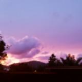 (Category: ) located in . Submitted by ayuri.ayuri (Listing ID 1319323270, Image 1). Description: .