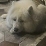 （分類：）位於 。 由 buysthbyesth 提交（商品編號 1338377058，圖片 1）。簡介： 。