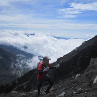 (Kategori: ) berada di . Dikirim oleh dolzart41412 (ID iklan 1382155621, Gambar 1). Deskripsi: .
