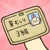 由 tea3331 (刊登 ID 1384419472，圖片 1) 提交，位於 的 (類別：)，說明：。