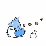 （分類：）位於 。 由 edoacjf 提交（商品編號 1342772191，圖片 1）。簡介： 。