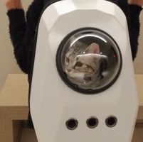 由 a09295856129412 (刊登 ID 1383819923，圖片 1) 提交，位於 的 (類別：)，說明：。