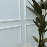 (Kategori: ) berada di . Dikirim oleh kimberlly_collections (ID iklan 1344512449, Gambar 1). Deskripsi: .