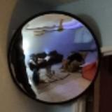 (Category: ) located in . Submitted by harrrrrisssss (Listing ID 1374607480, Image 1). Description: .