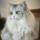 （分類：）位於 。 由 maleah11 提交（商品編號 1385212715，圖片 1）。簡介： 。