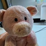 (Category: ) located in . Submitted by zhizhihfix (Listing ID 1327989750, Image 1). Description: .