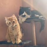 (Category: ) located in . Submitted by Mai011 (Listing ID 1127360909, Image 1). Description: .