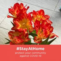 (Category: ) located in . Submitted by live83 (Listing ID 1385389848, Image 1). Description: .