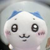 (Category: ) located in . Submitted by reolio (Listing ID 1346469912, Image 1). Description: .