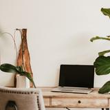 (Category: ) located in . Submitted by urbanoasis_ (Listing ID 1337280563, Image 1). Description: .